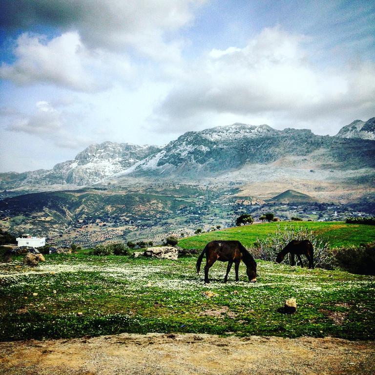 Dar Jiblia Villa Chefchaouen Eksteriør billede